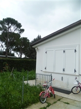 occasione